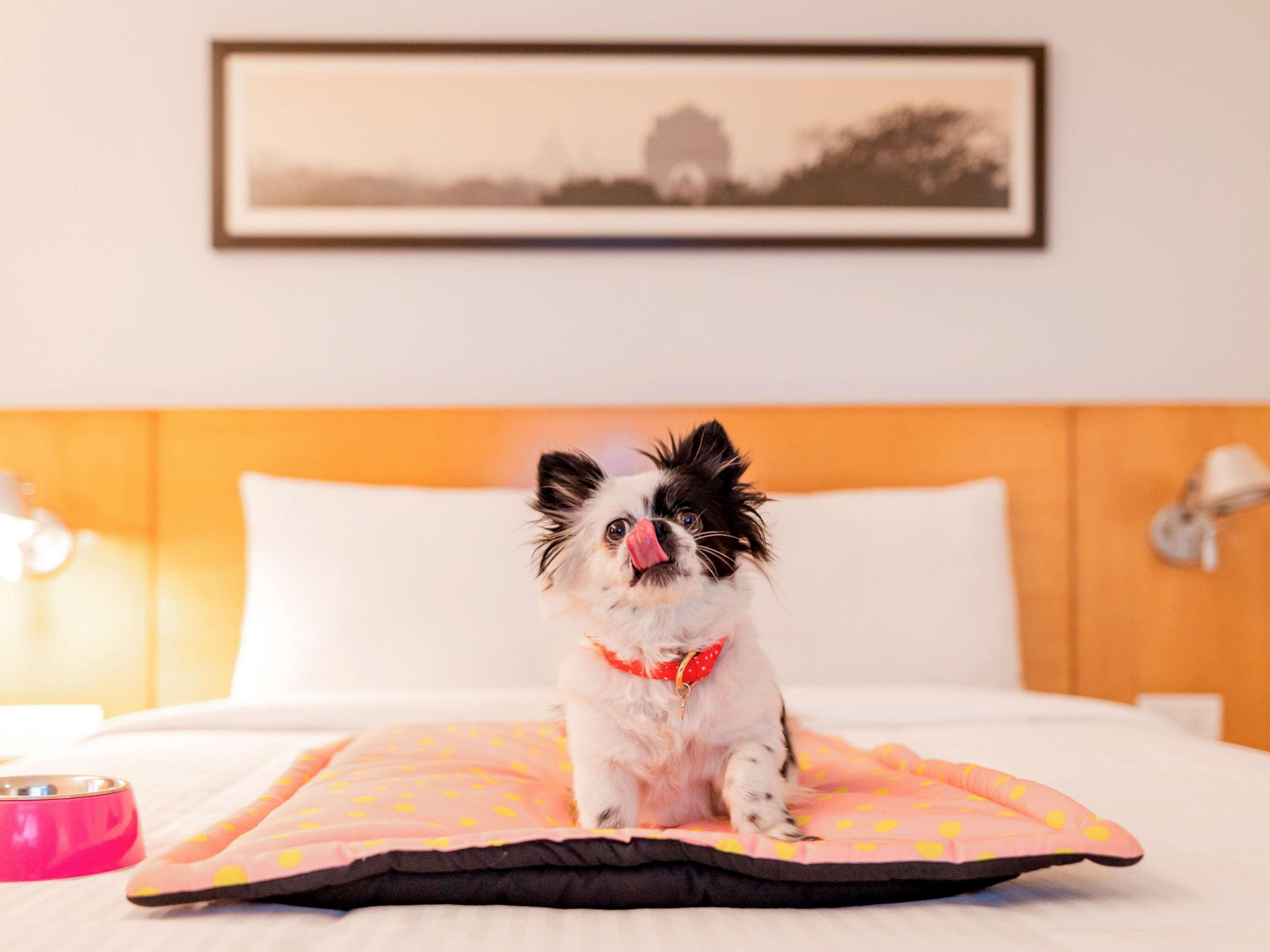 Ibis Omr - An Accor Brand 4*