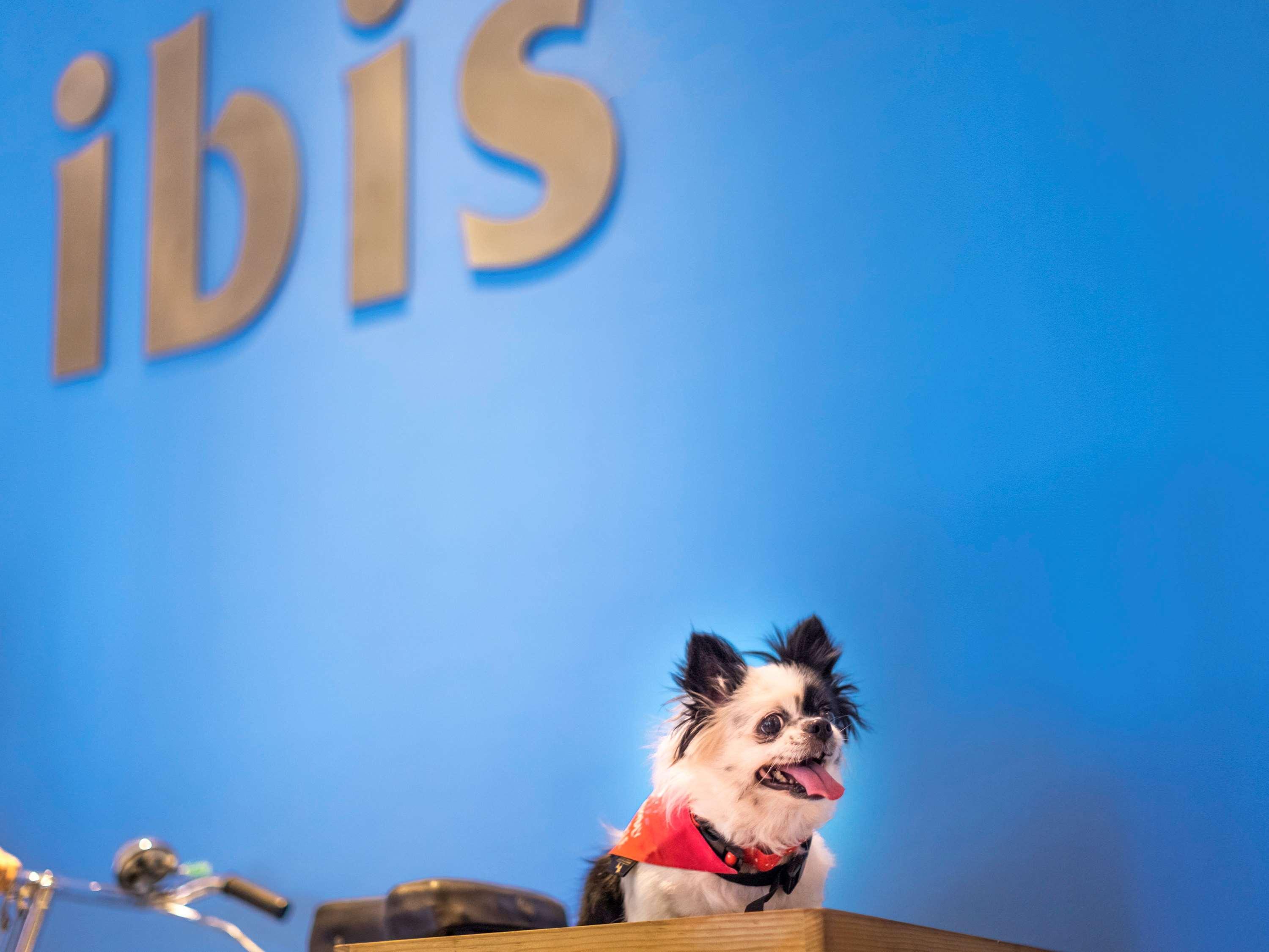 Hotel Ibis Omr - An Accor Brand 4*